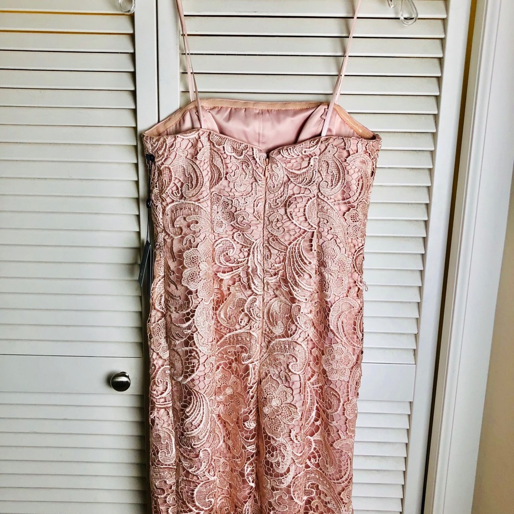NWT ADRIANNA PAPEL PINK LACE STRAPLESS DRESS - Picture 4 of 5